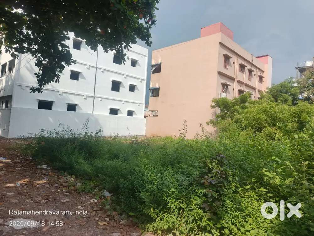 Own land for sale