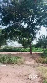 Plot for sale near bongulur gate