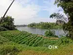 78 cent waterfront land for sale in kanjoor,near aluva,airport