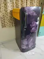 2017 purchased Lg single Door