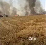 Agriculture land required kisi ko bechni ho to connect kre