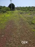 Podcem sanquelim