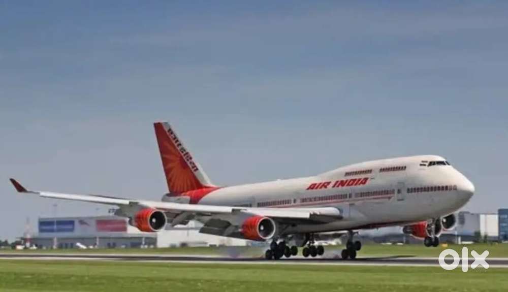 Candidate required for airport Job