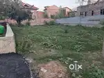 Milkiyat 14 marlas land with concrete 4 feets fencing