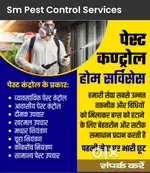 Pest Control Services