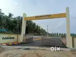 క్లియర్ టైటిల్ ప్లాట్లు – బ్లాక్ టాప్ రోడ్లతో బొమ్మూరు లేఅవుట్