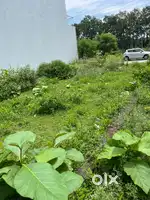 MDDA APPROVED PLOT IN RV ESTATE PONDHA SIZE:-154 sq yards