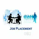 We Required experience person for new job placement agency