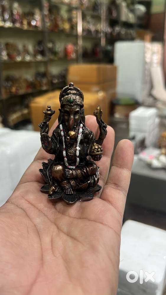 Need A shopify Expert ! No fresher