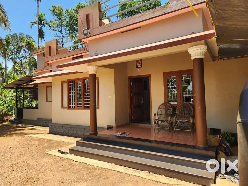 50 CENT LAND WITH NEWLY BUILD HOUSE AND COFFEE,PEPPER ETCC @WAYANAD
