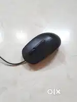HP Mouse for Laptop & Computer