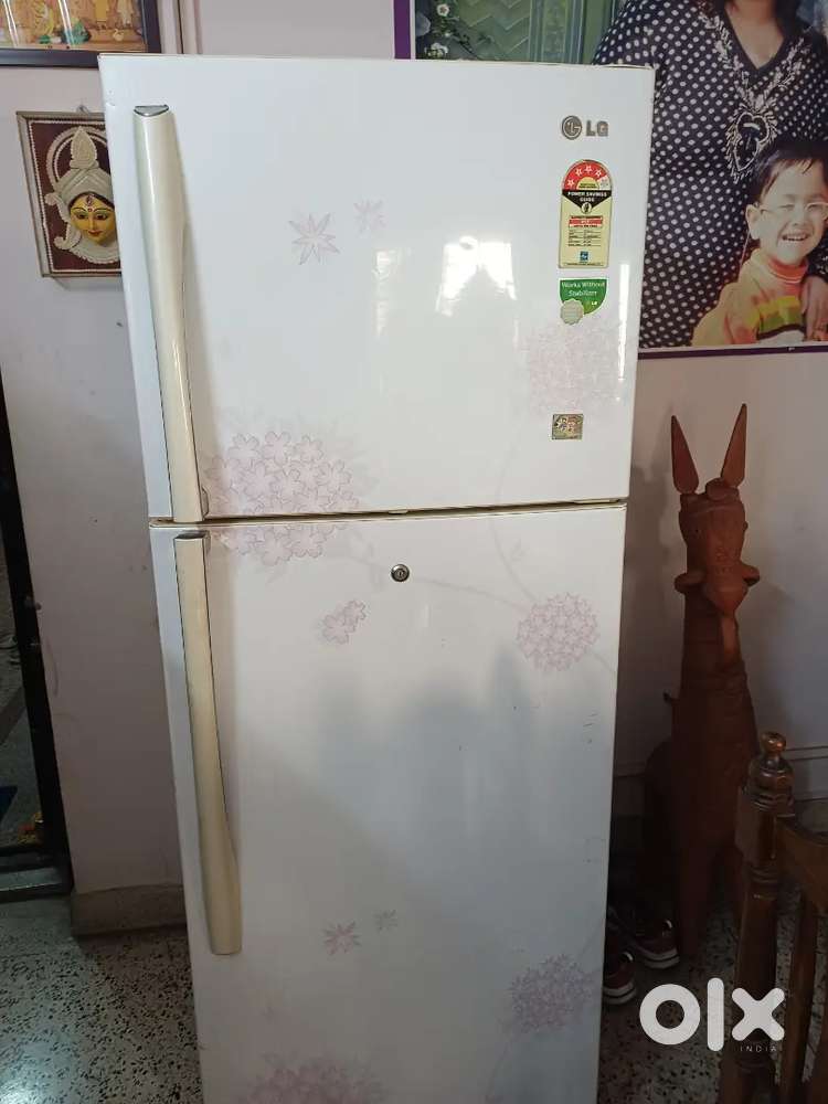 350 lt lg fridge