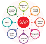 SAP SD Train and earn