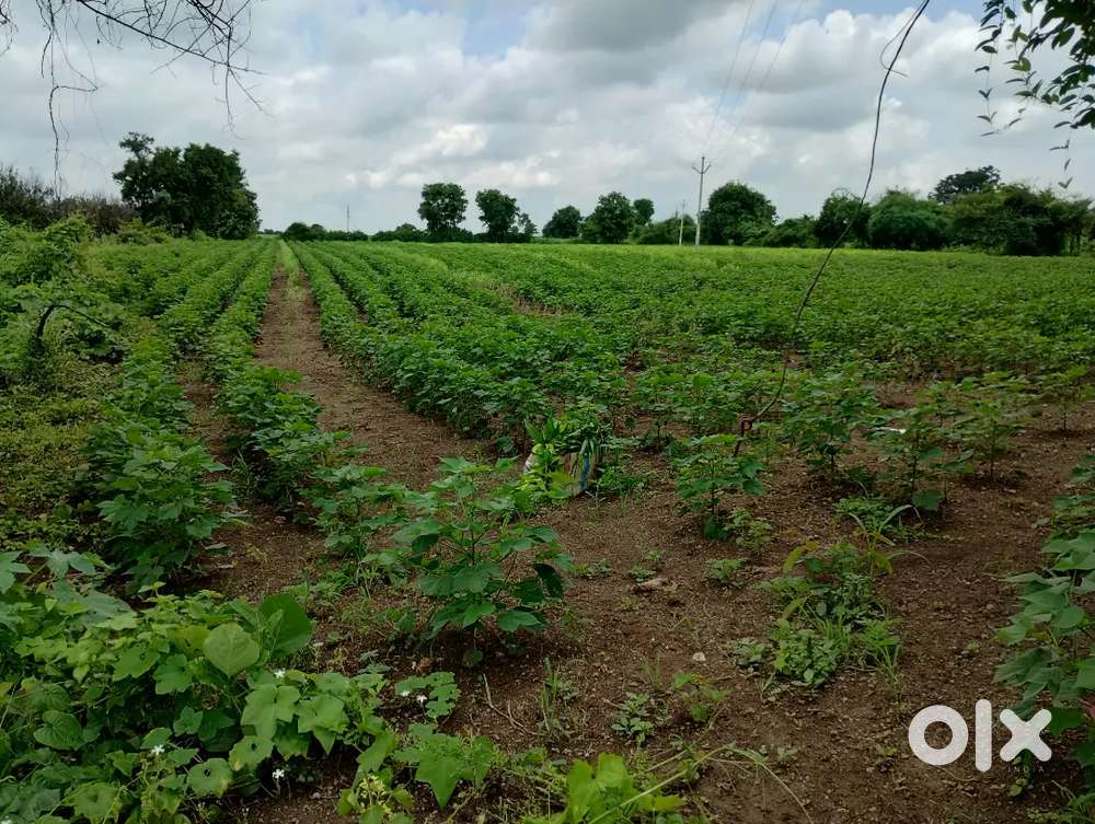 SALE AGRICULTURAL LAND CHANDUR BAZAR -JALNAPUR-RIDHAPUR ROAD