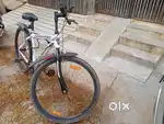 Cycle of 8 month old
