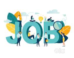 Operations Executive - Warehouse