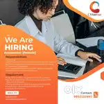 Accountant