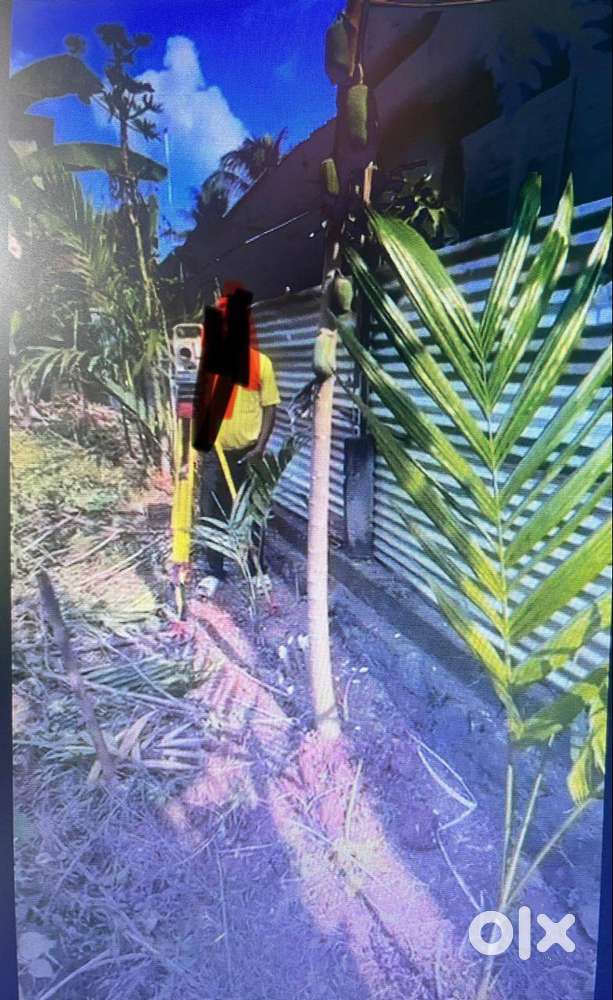 1 Katha Plot for Lease– Perfect for Storage, Nursery, Workshop etc