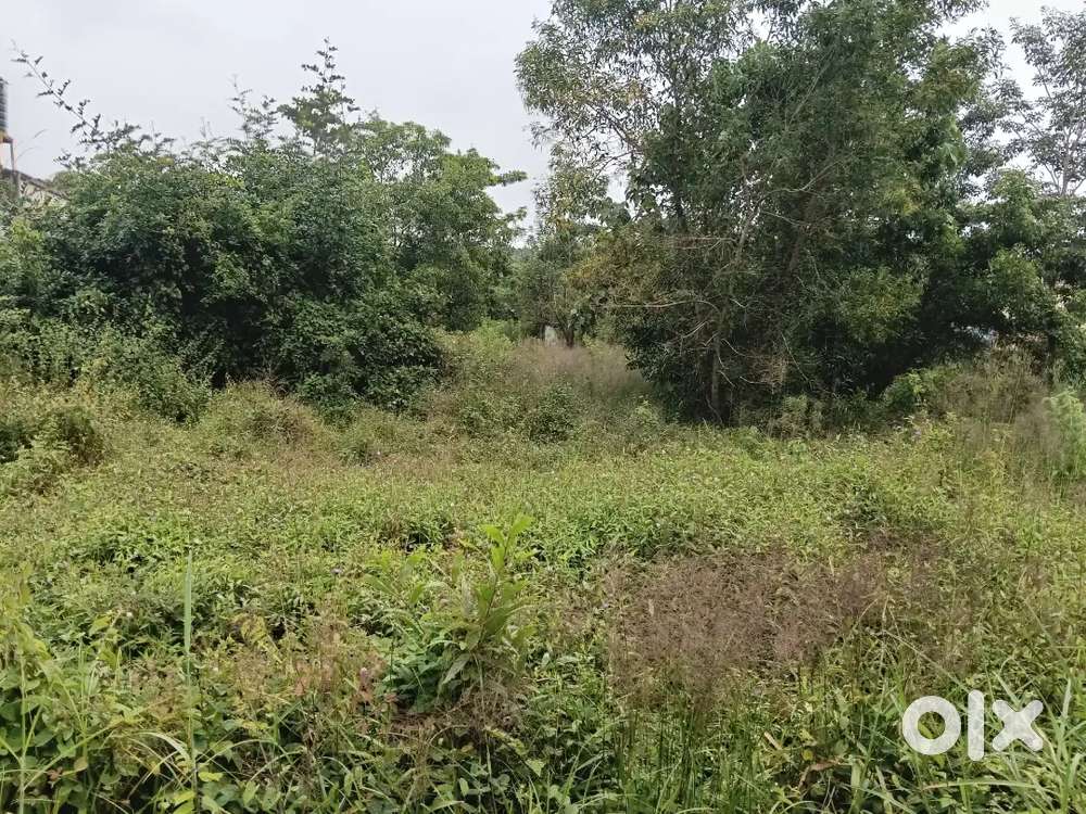 20Cents Residential Plot for sale at Padil Mangalore.