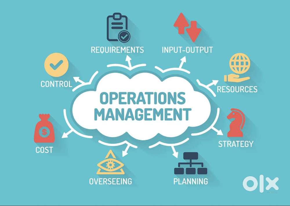 Assistant Manager Operations