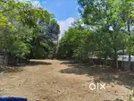 Vacant land (23.4 Cent) for rent at Edathara. 10Km from palakkad .