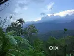 MUNNAR 2.5 ACRE FULL VIEW LAND  CENT : 60 000
