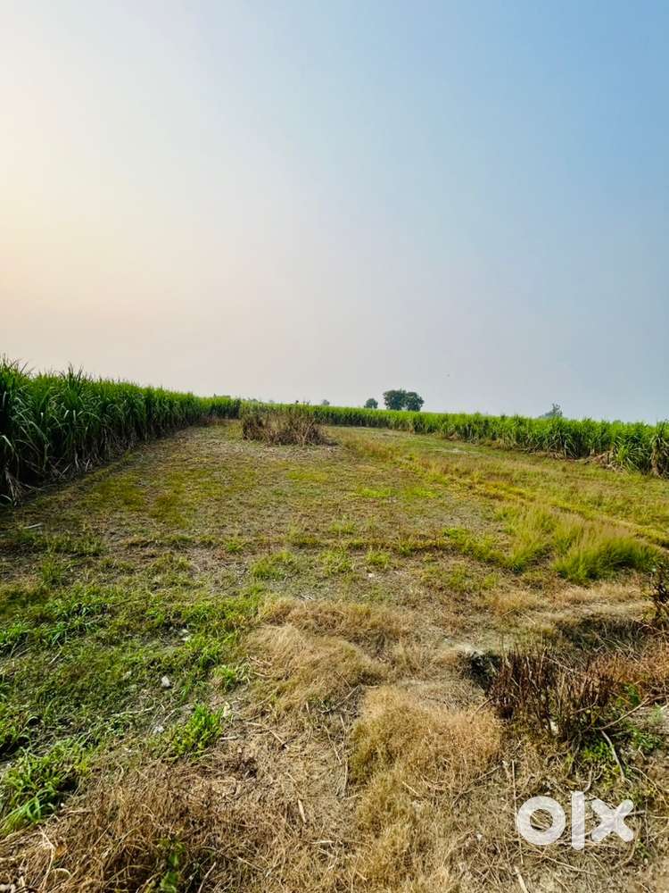 Agriculture Land - 6 Begga