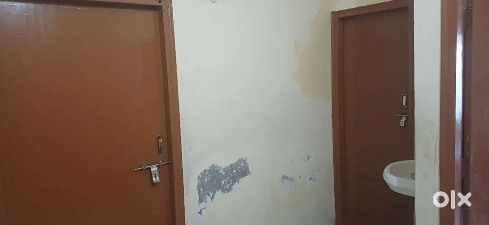 Roommate needed female