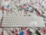 Apple Magic Keyboard with numpad