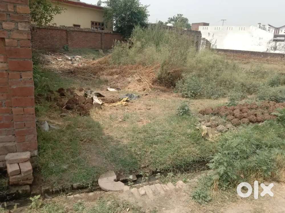 Khali plot good area