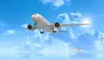 Vacancy available for male and females candidates indigo airlines jobs