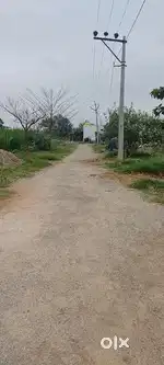 Balineni park