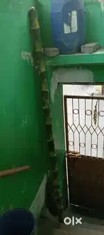 Boks Moogil 13Adi