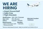 Cargo Handling Executive