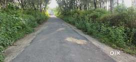 10 Cent housing plot for sale