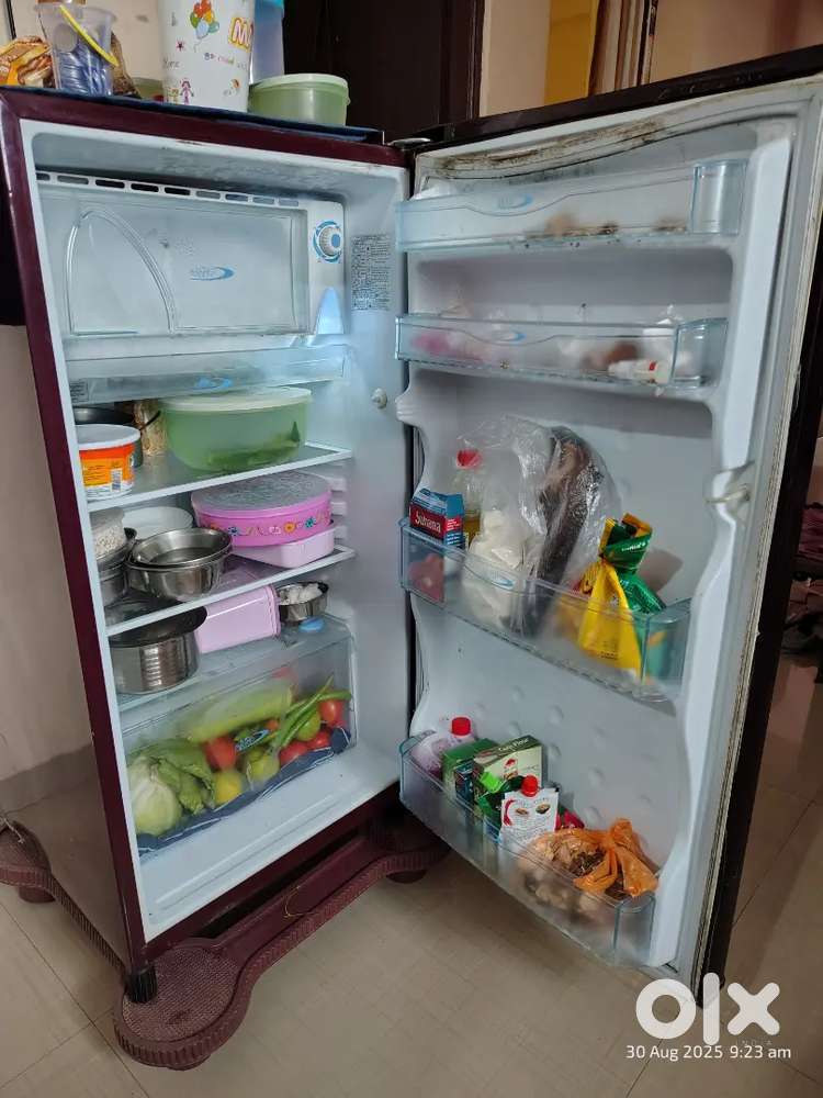 Kelvinator Nutricool Refrigerator