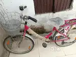 New ladies cycle