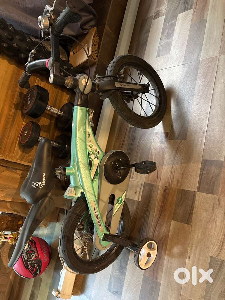 R for Rabbit cycle for kids-14 inch
