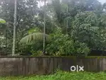 21 cent plot for sale in kodalara puthukkaavu