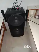 Zebronic Speaker