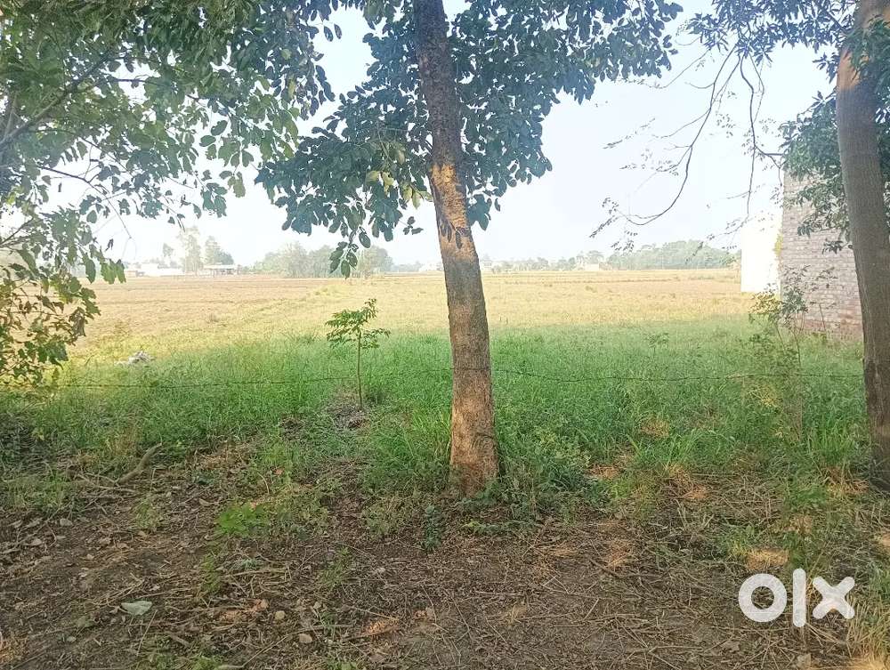 Land for sale touching two roads