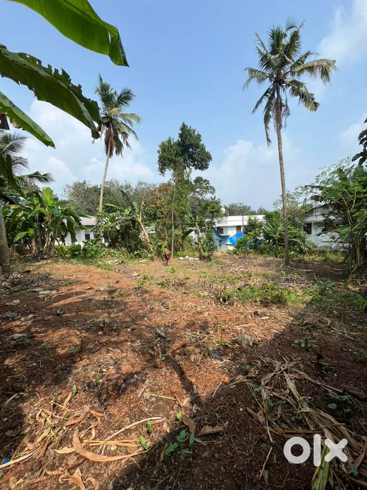 9 cent Plot for sale