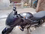 Pulsar p150