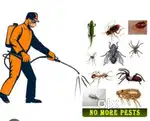 Best Pest Control