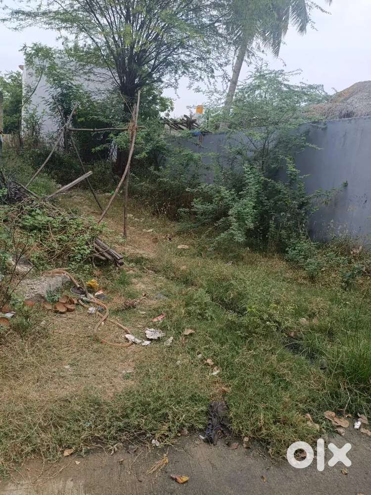 P venkatesh   plot for sale 18 ankanams at mitta gandhipuram