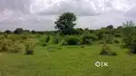 346 Sq. Yds Plot for Sale – Bachannapet