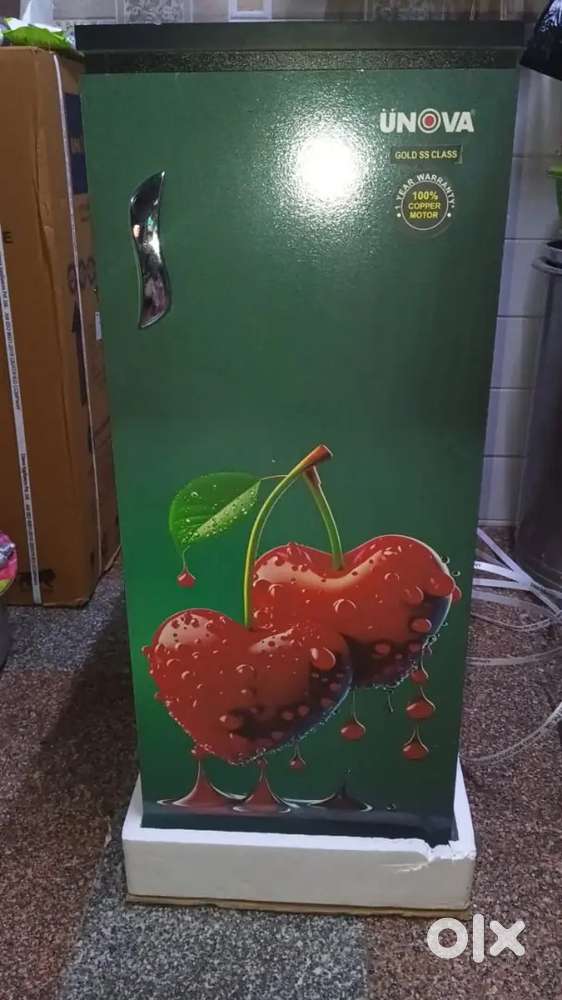 Unova domestic flour mill unused