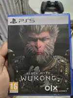Black Myth Wukong
