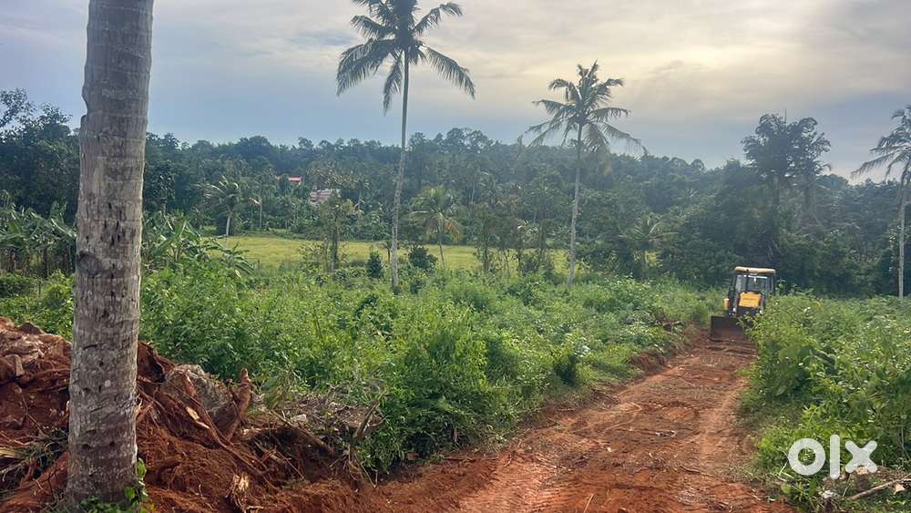 Residential plot for sale at Ullannoor Kulanada