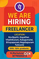 FREELANCER JOB  ( PHONEPE )